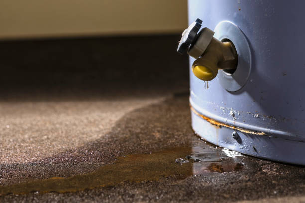 Best Fire Damage Restoration  in Butler, WI