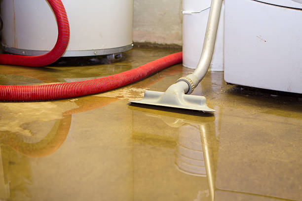 Best Fire Damage Restoration  in Butler, WI